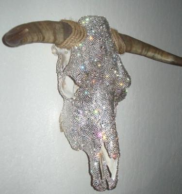 Bull Skull Right Side Bull Skull Right Side