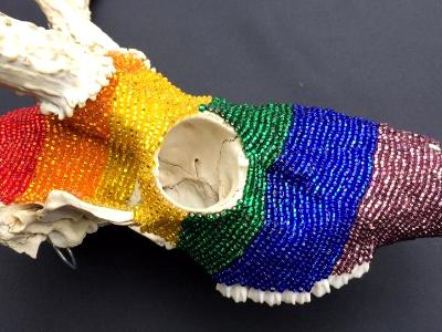 Rainbow Deer Skull - Right Rainbow Deer Skull - Right
