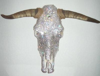 Bull Skull Bull Skull